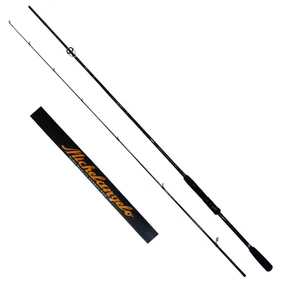 DFT Michelangelo 243 cm  Olta Kamışı 10-20 g